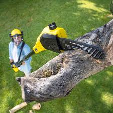 Best Tree and Shrub Care  in Harrison, TN